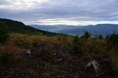 42: DSC_1967