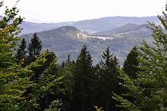 49: DSC_1974