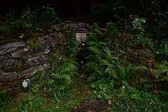 50: DSC_1975