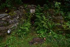 51: DSC_1976