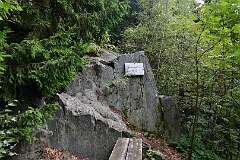 58: DSC_1984