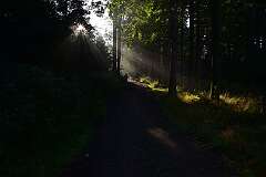 107: DSC_2037