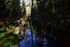 121: DSC_2054