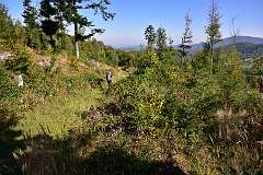 126: DSC_2059