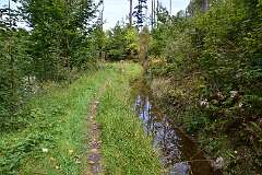 133: DSC_2066