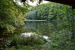 169: DSC_2103