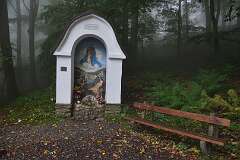 183: DSC_2117