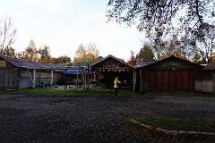 2025_10_24-28-Bogacs