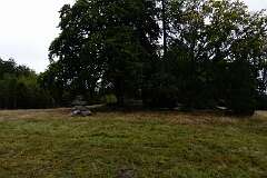 22: RX108252