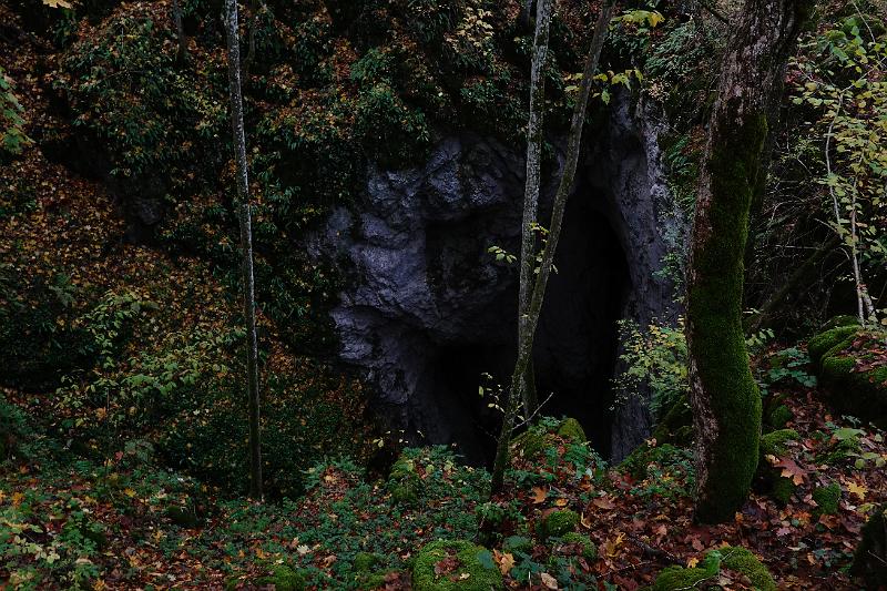 Original image