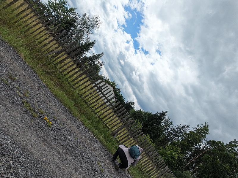 Original image