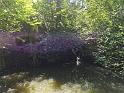 DJI_20260614120411_0113_D