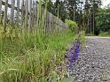DJI_20260614133056_0129_D