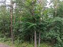 DJI_20260720153828_0014_D