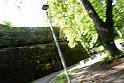 DSC00191