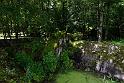 DSC00199