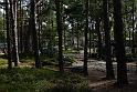 DSC00281