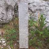 71: 20260825_155333