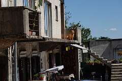 19: DSC00338