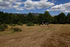 23: DSC00341