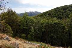 58: DSC00360