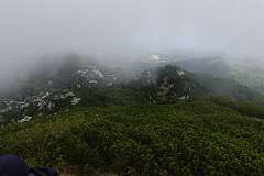 59: DSC00361
