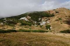 65: DSC00367