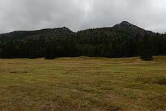 69: DSC00370