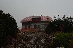 81: DSC00373