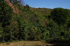 107: DSC00379