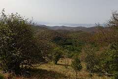 176: DSC00417