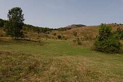 186: DSC00422