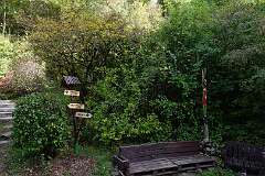 52: DSC00453