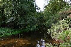 53: DSC00454