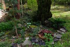 54: DSC00455