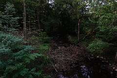 63: DSC00460