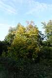 80: DSC00462