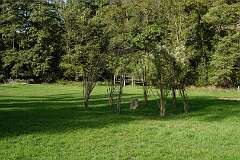 82: DSC00464