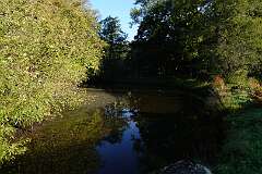 101: DSC00475