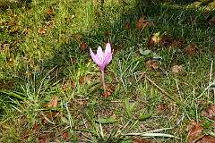 102: DSC00476