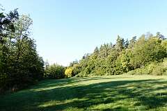 109: DSC00479