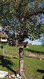 111: DSC00480