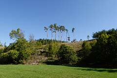 122: DSC00485