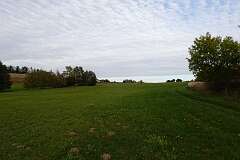 2: DSC00503