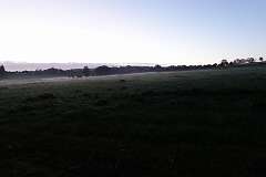 11: DSC00506