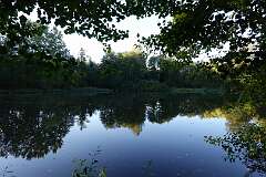 17: DSC00508