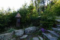 24: DSC00512