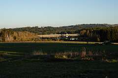 61: DSC00538